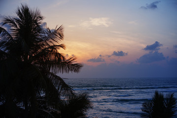 Fototapeta na wymiar Silhouette of coconut palm trees against evening sea
