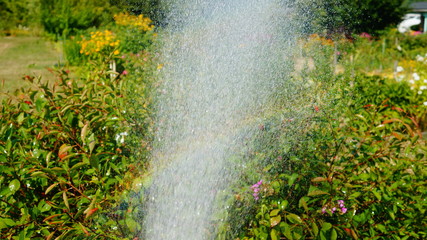 Polen Schrebergarten