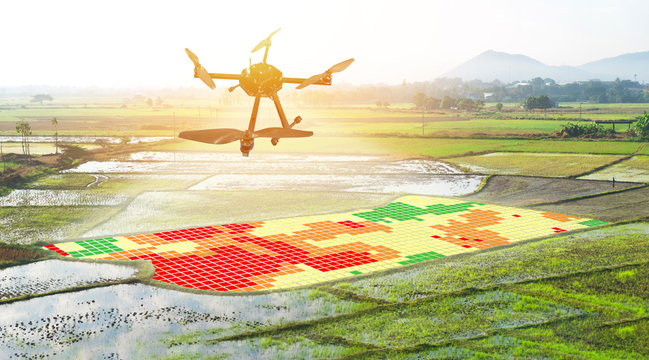 Smart agriculture , farm , precision farming concept. Drone and NIR images application screen used to create field health maps for normalize difference vegetation index in field rice with flare light.