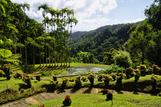 France, Martinique, the tropical  garden of Balata, Lesser Antilles