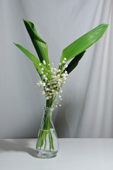 Lily of the valley flowers in a transparent vase
