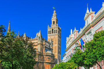 Cathedral de Santa Maria de la Sede with the Giralda bell tower,