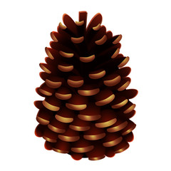 Pine cone, vector illustration, isolated