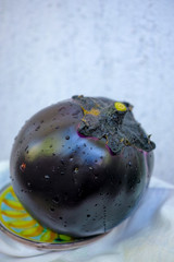 Violet eggplant ball, fresh healthy vegetables.