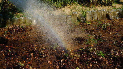 Polen Schrebergarten