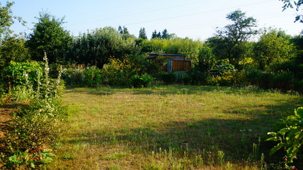 Polen Schrebergarten