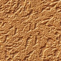 Fragment of an beige relief wall