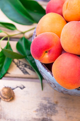 Ripe colorful organic apricots in ceramic bowl on wooden fruit box, kernel, green leaves, garden, summer harvest, healthy eating