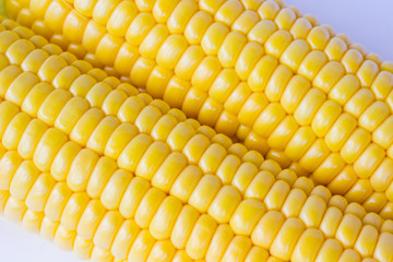 part of corn cob close up.