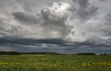  amazing landscape of the beautiful meddow under the stormy sky