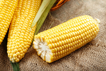 corn on sackcloth