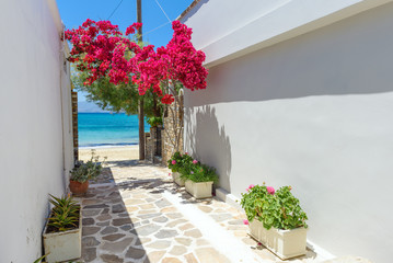 Typical Greek narrow street with summer flowers and view over sea. Naxos island. Cyclades. Greece.
