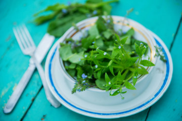 Wicker basket with fresh herbs