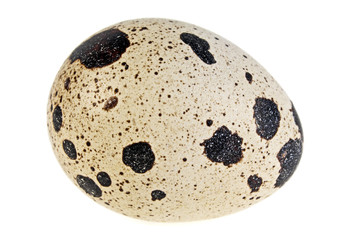 Quail egg on a white background