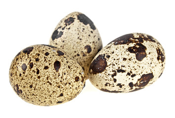 Group of quail eggs on a white background