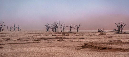 Namibian Deadvlei dead trees