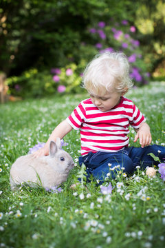 im Graß mit dem Kaninchen spielen