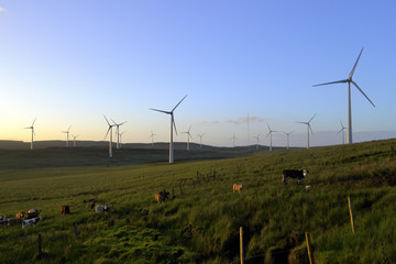ecological energy