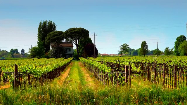 graded timelapse of tractor moving in countryside of Romagna, Italy