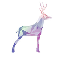 Obraz premium deer