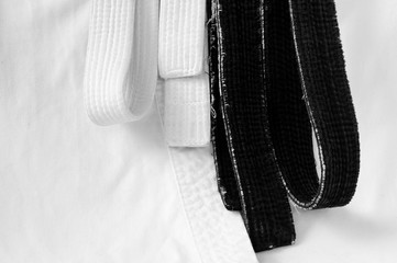black belt martial arts on white background