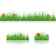 Set Green Grass Borders with colorful flowers. Vector Illustration. Abstract field texture. Summer, plant,eco and natural, growth or fresh. Design for card, banner. Meadow template for print products.