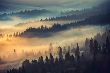 Crédence en verre imprimé Forêt dans le brouillard Paysage de forêt de montagne brumeuse le matin, Pologne