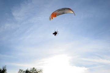 A jetliner flying over a tree crown on a sunny summer day