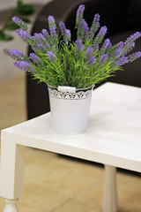 Bouquet of lavender in white decorated bucket on white table