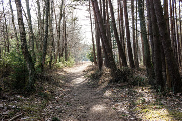 SONY DSC