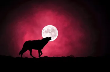 Crédence de cuisine en verre imprimé Loup loup hurlant