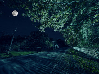 Mountain Road through the forest on a full moon night. Scenic night landscape of dark blue sky with moon. Azerbaijan. Long shutter photo