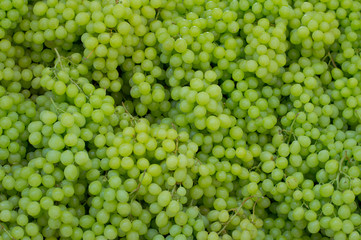 White wine grapes in a market. Top view. Close-up