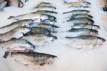 Pile of fish on ice