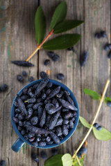 berry honeysuckle. Top View