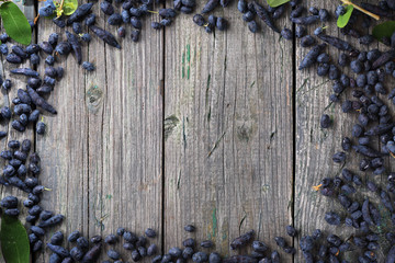 honeysuckle on Wooden background