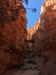 Arch in Bryce Canyon