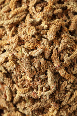 Background of flowers of coniferous plants