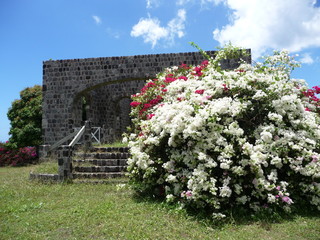 Herrensitz Ruine auf St. Kitts