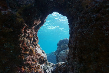 A hole in the rock underwater Pacific ocean, natural scene, outer reef of Moorea island, French...