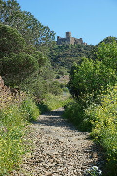 Path leading to an old fortification the Fort Saint Elme at the top of the hill, Collioure, Mediterranean, Pyrenees Orientales, Roussillon, south of France