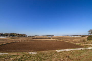 Fototapeta na wymiar 冬の本佐倉城から見た風景