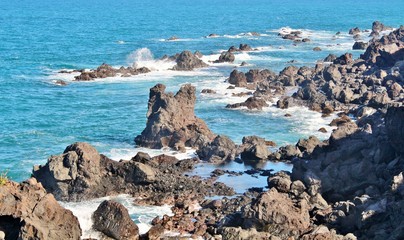 Black volcanic rocck along the beach in St. Kitts,
