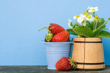 Fresh strawberries in Colored buckets With flower and leaves on wooden table. space for text