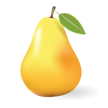 Vector illustration of a yellow pear on a transparent 