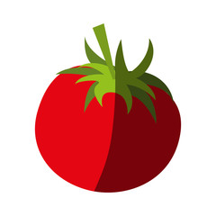 tomato food flat illustration icon vector design graphic shadow