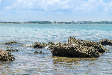 Fototapeta na wymiar Landscape of beach and sea with reef rock beach