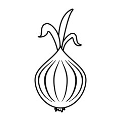 garlic food silhouette  illustration icon vector design graphic