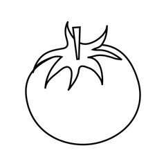 tomato food silhouette  illustration icon vector design graphic