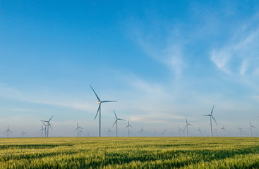 Group of windmills for electric power production in the green field of wheat - 159237659